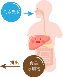 体内からミネラルで食品添加物を輩出しよう！